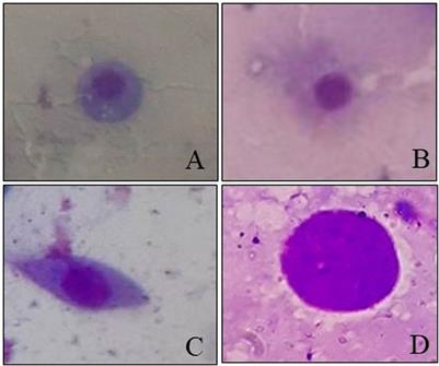 Effect of fungicidal contamination on survival, morphology, and cellular immunity of Apis mellifera (Hymenoptera: Apidae)